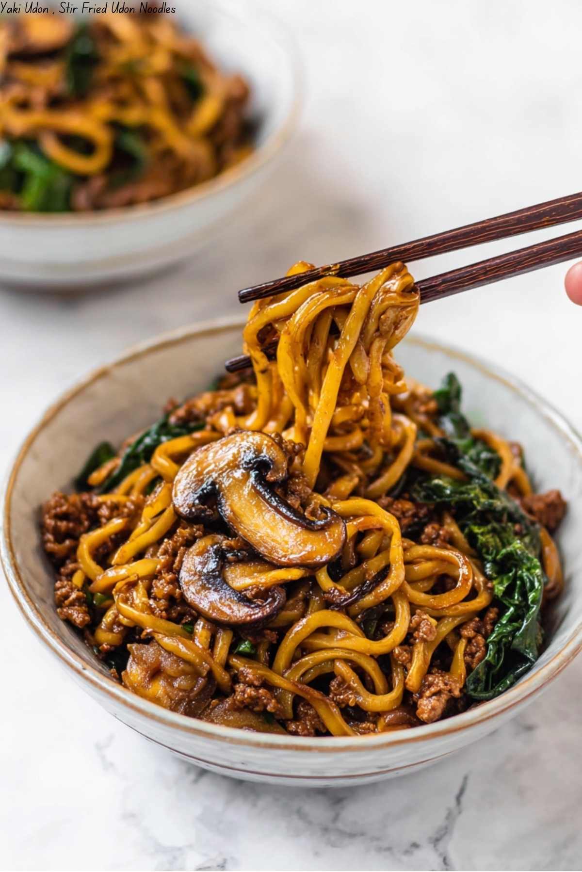 Yaki Udon , Stir Fried Udon Noodles