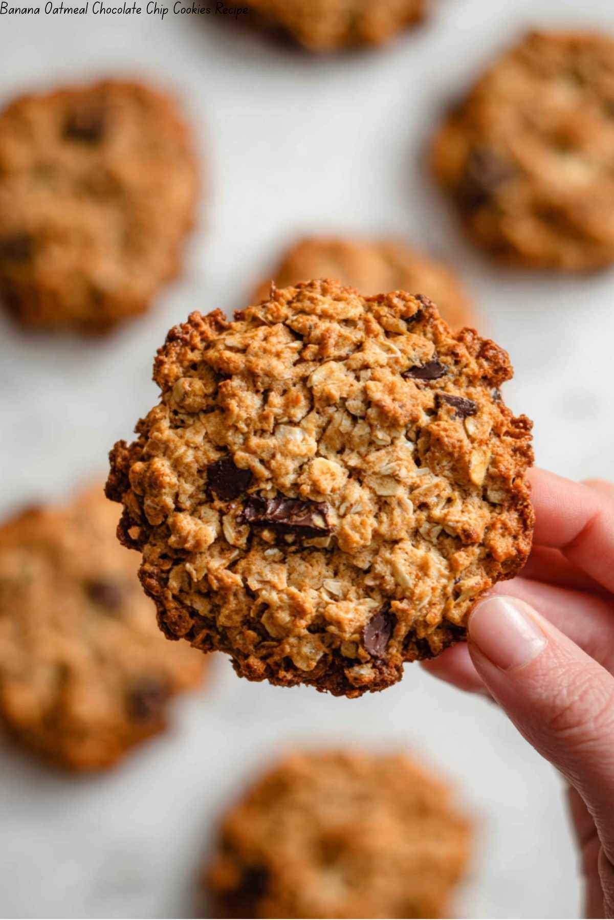 Banana Oatmeal Chocolate Chip Cookies