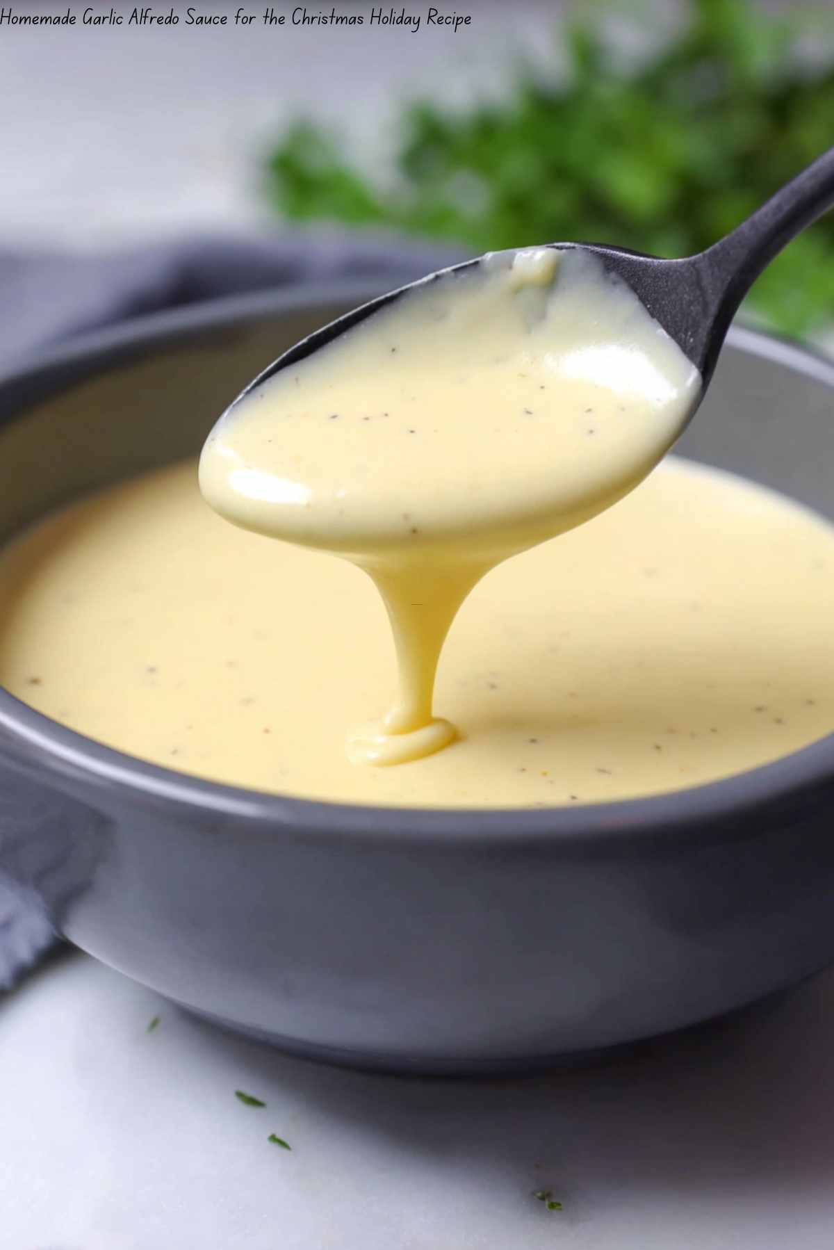 Homemade Garlic Alfredo Sauce For Christmas Holiday