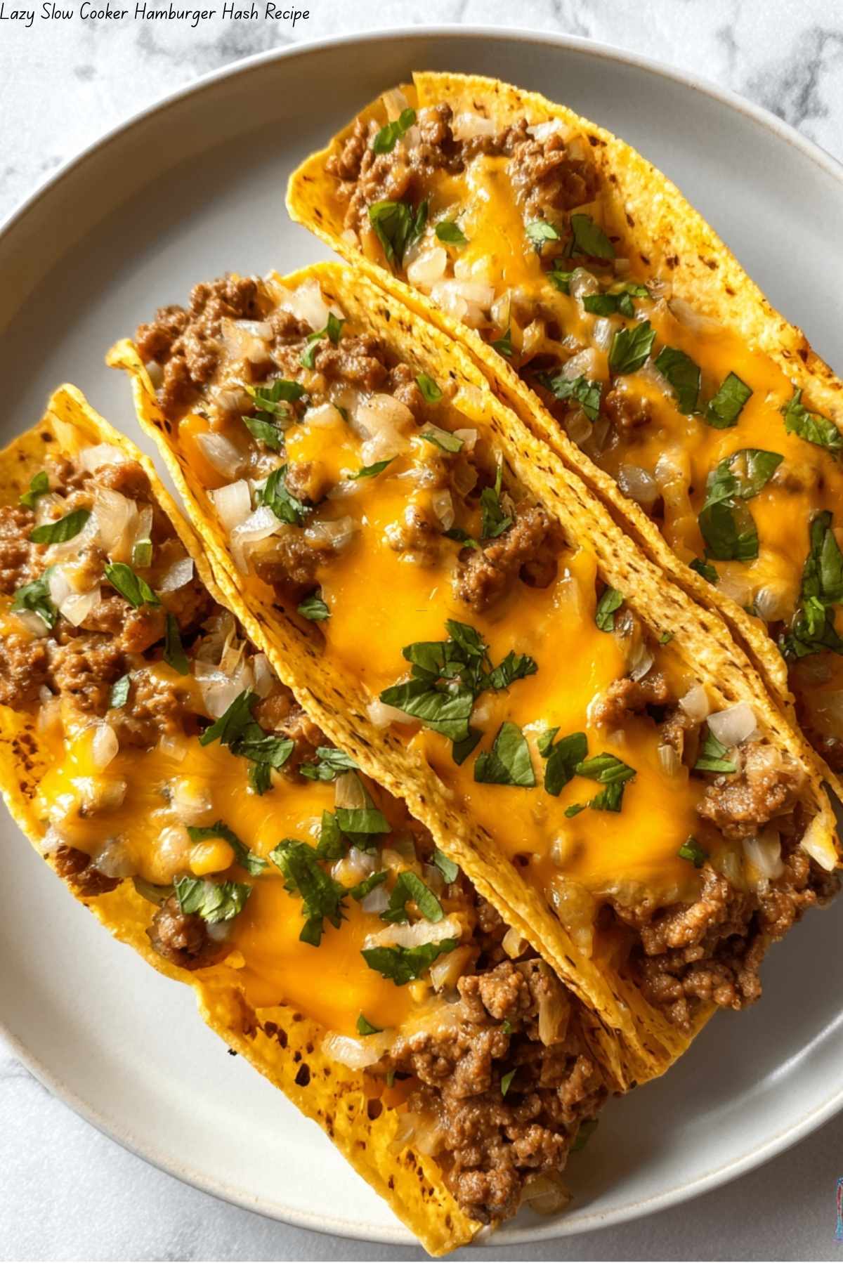 Lazy Slow Cooker Hamburger Hash Recipe