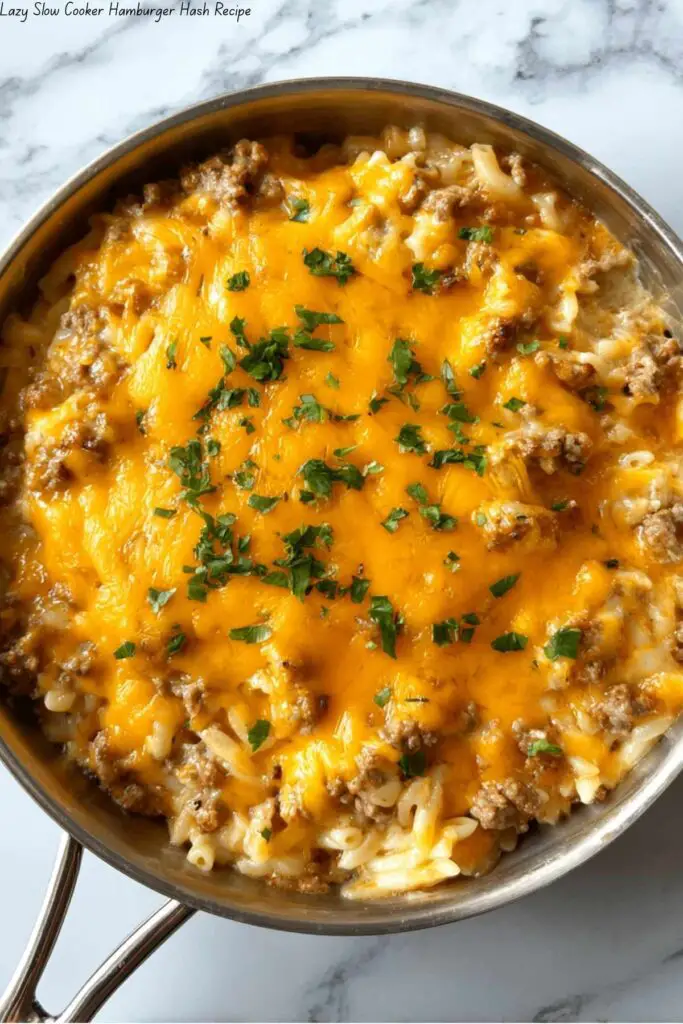 Lazy Slow Cooker Hamburger Hash Recipe