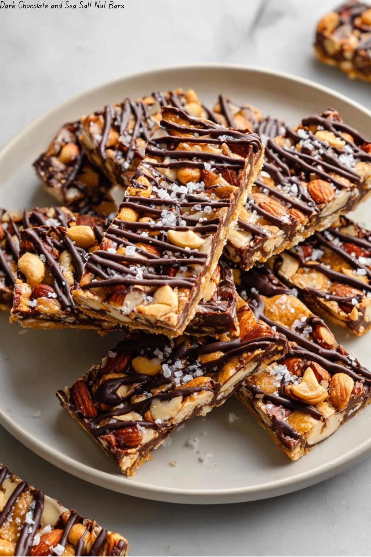 Dark Chocolate and Sea Salt Nut Bars