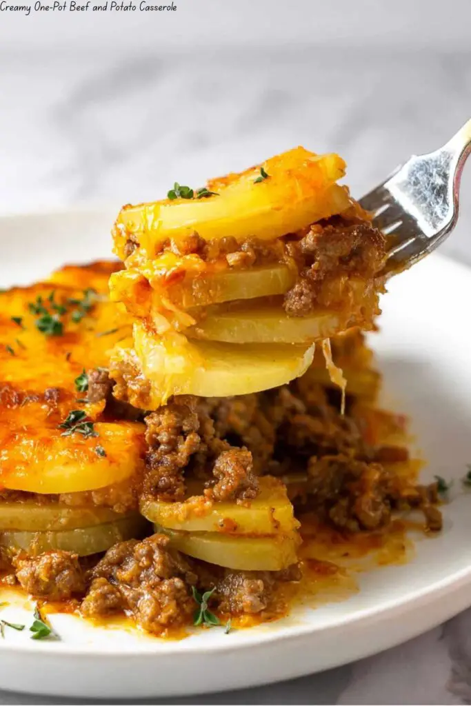 Creamy One-Pot Beef and Potato Casserole 4 Creamy One-Pot Beef and Potato Casserole