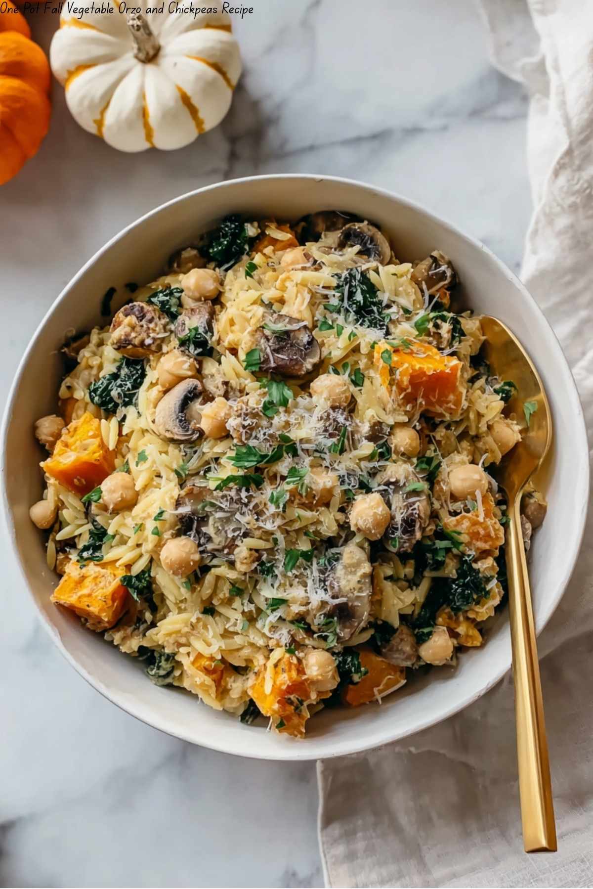 One Pot Fall Vegetable Orzo and Chickpeas Recipe