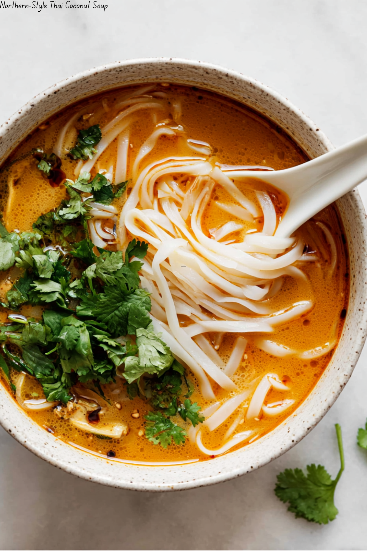 Northern-Style Thai Coconut Soup