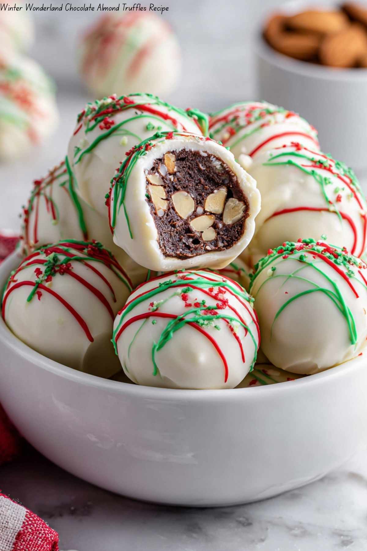 Winter Wonderland Chocolate Almond Truffles