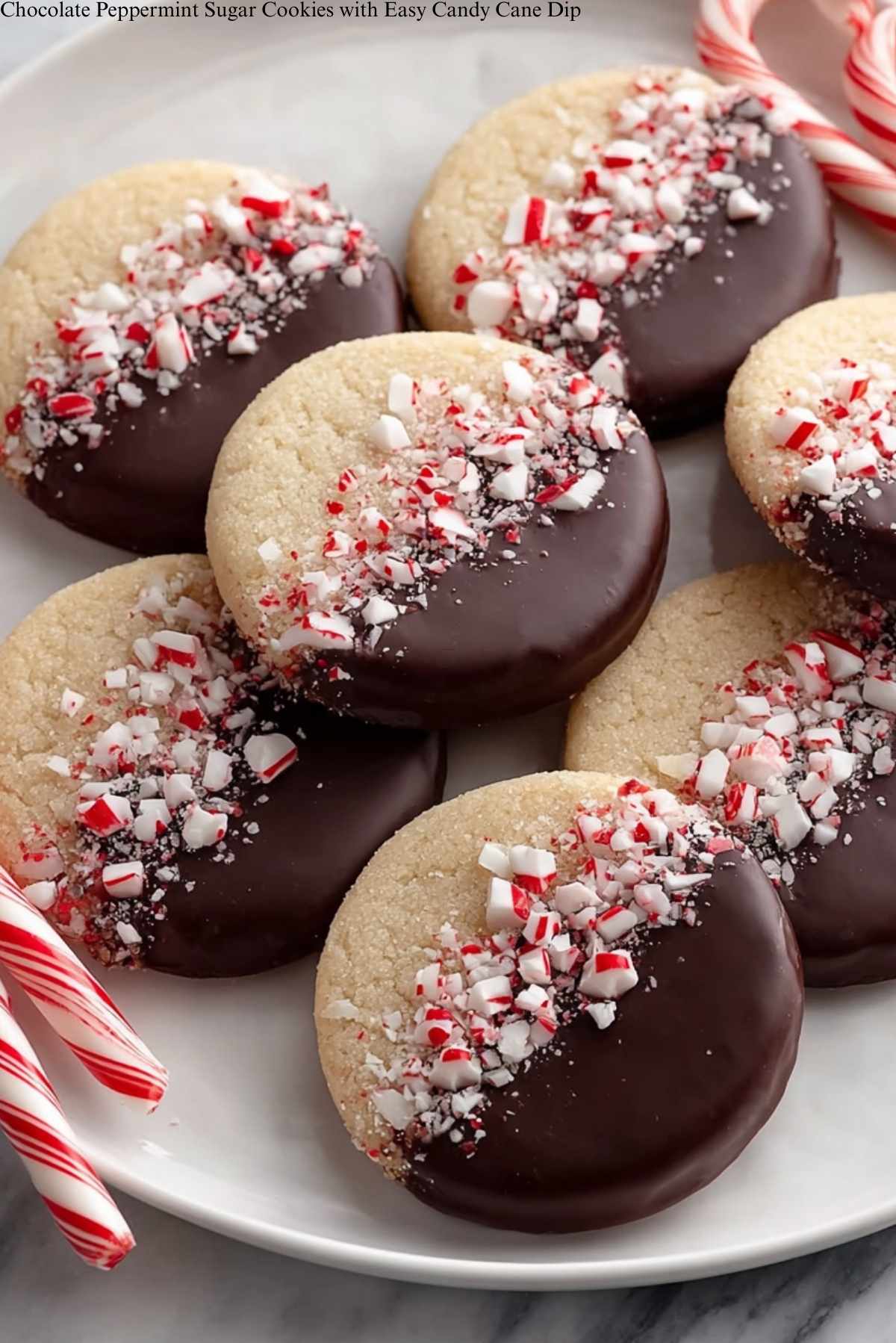 Chocolate Peppermint Sugar Cookies Recipe