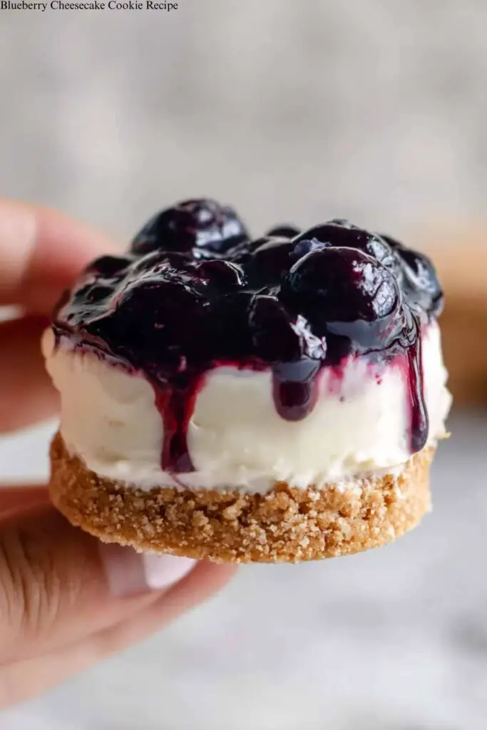 Blueberry Cheesecake Cookies Recipe