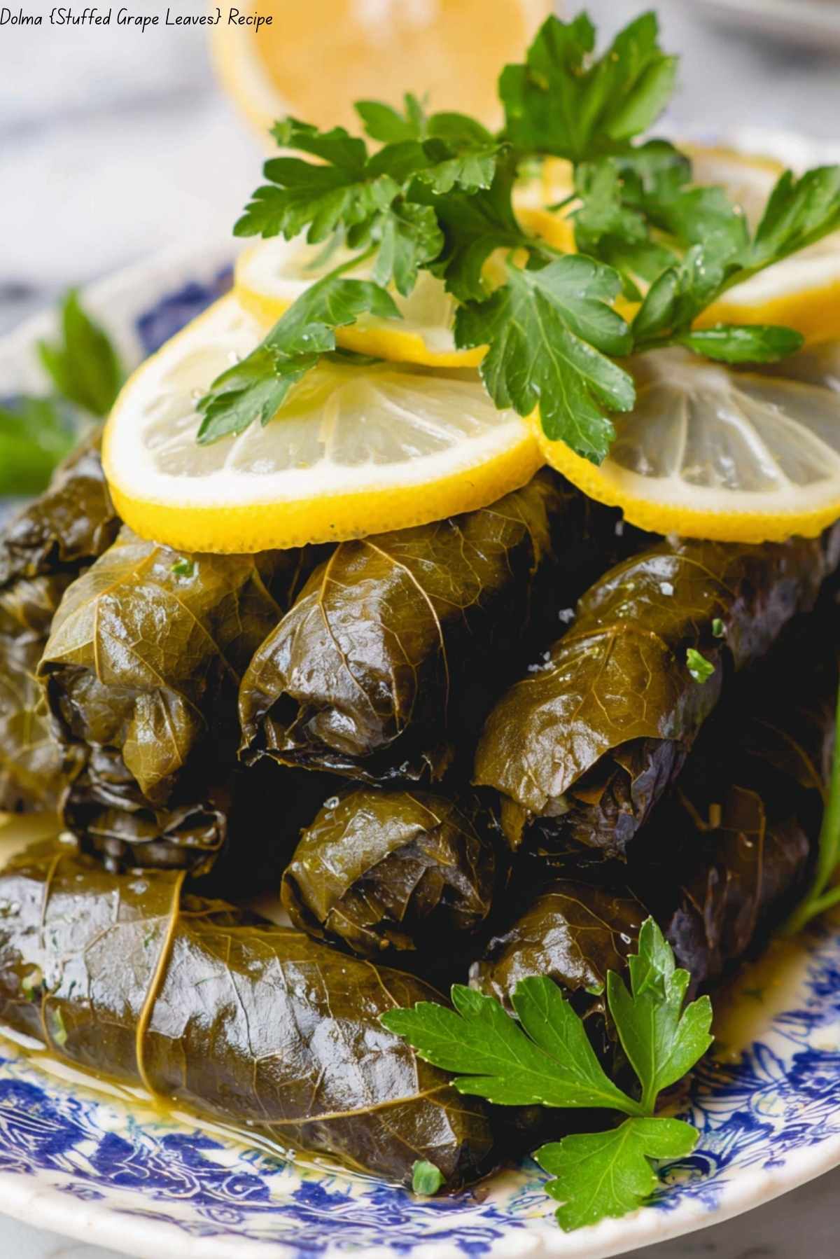 Dolma {Stuffed Grape Leaves}