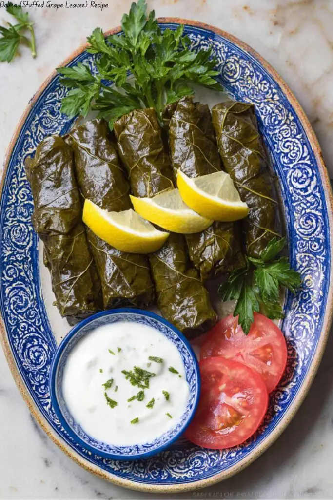 Dolma {Stuffed Grape Leaves} 4 Dolma {Stuffed Grape Leaves}