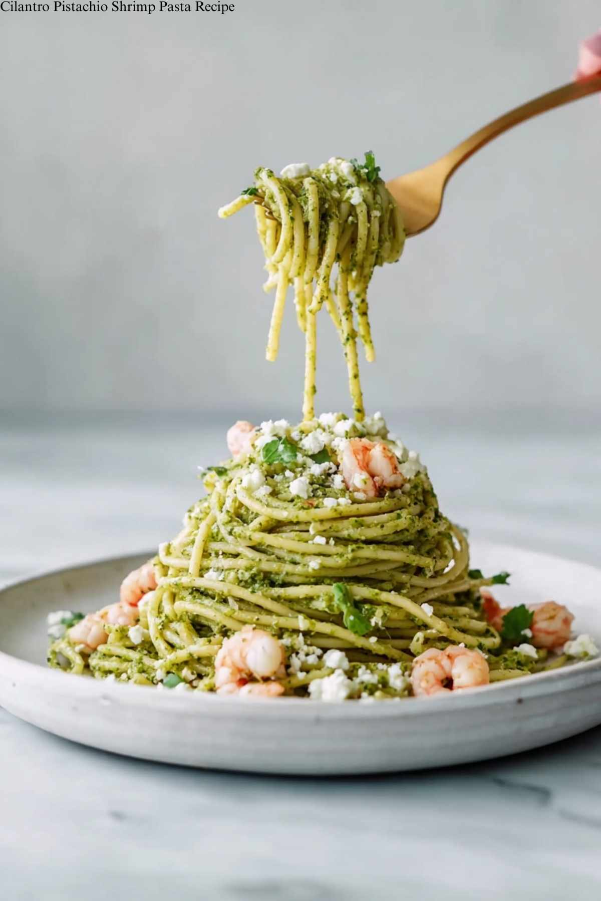 Cilantro Pistachio Shrimp Pasta Recipe
