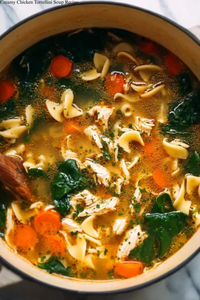 Creamy Chicken Tortellini Soup Recipe