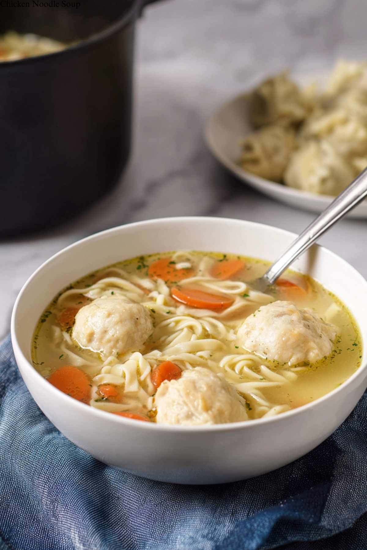 Chicken Noodle Soup