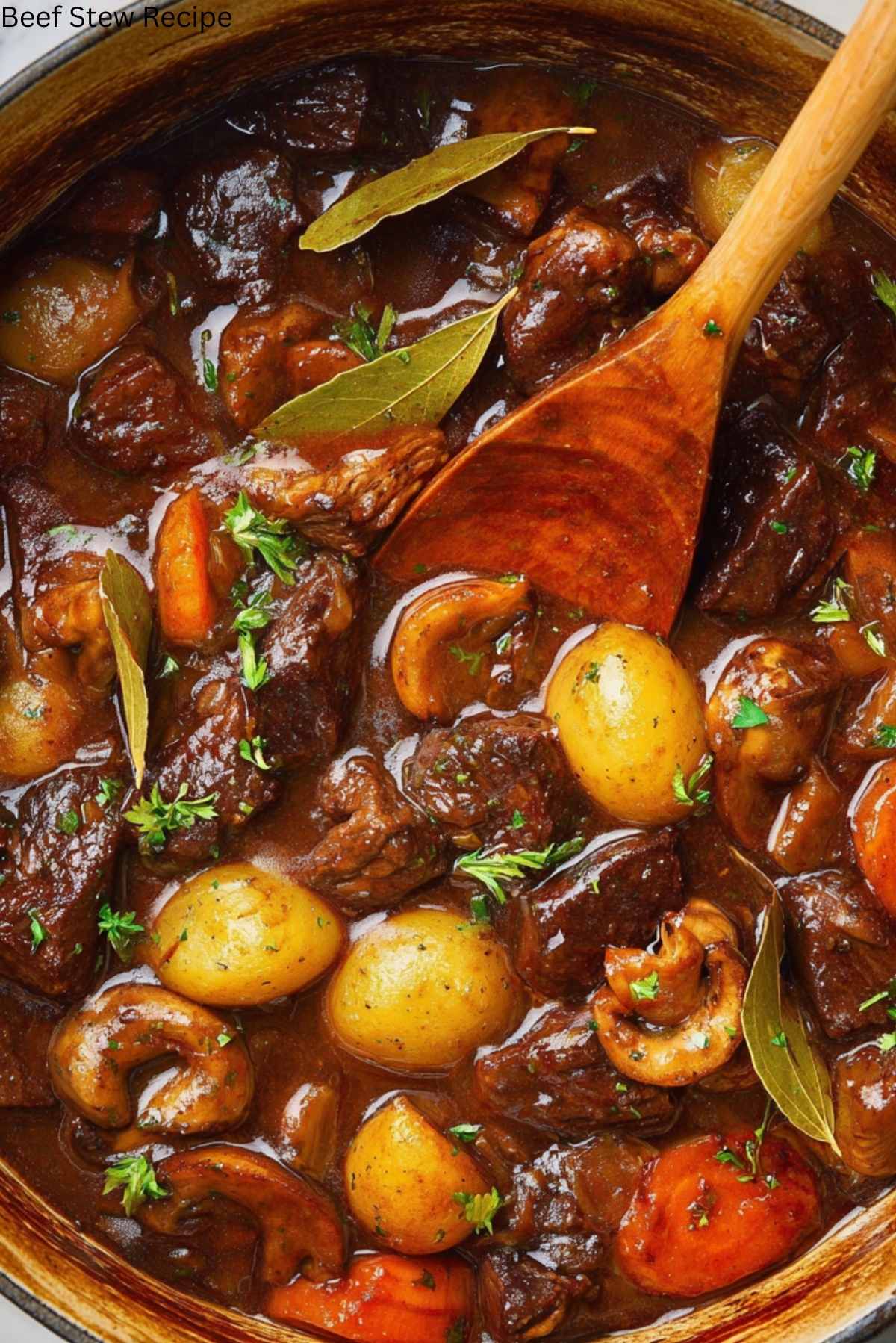 Beef Stew Recipe