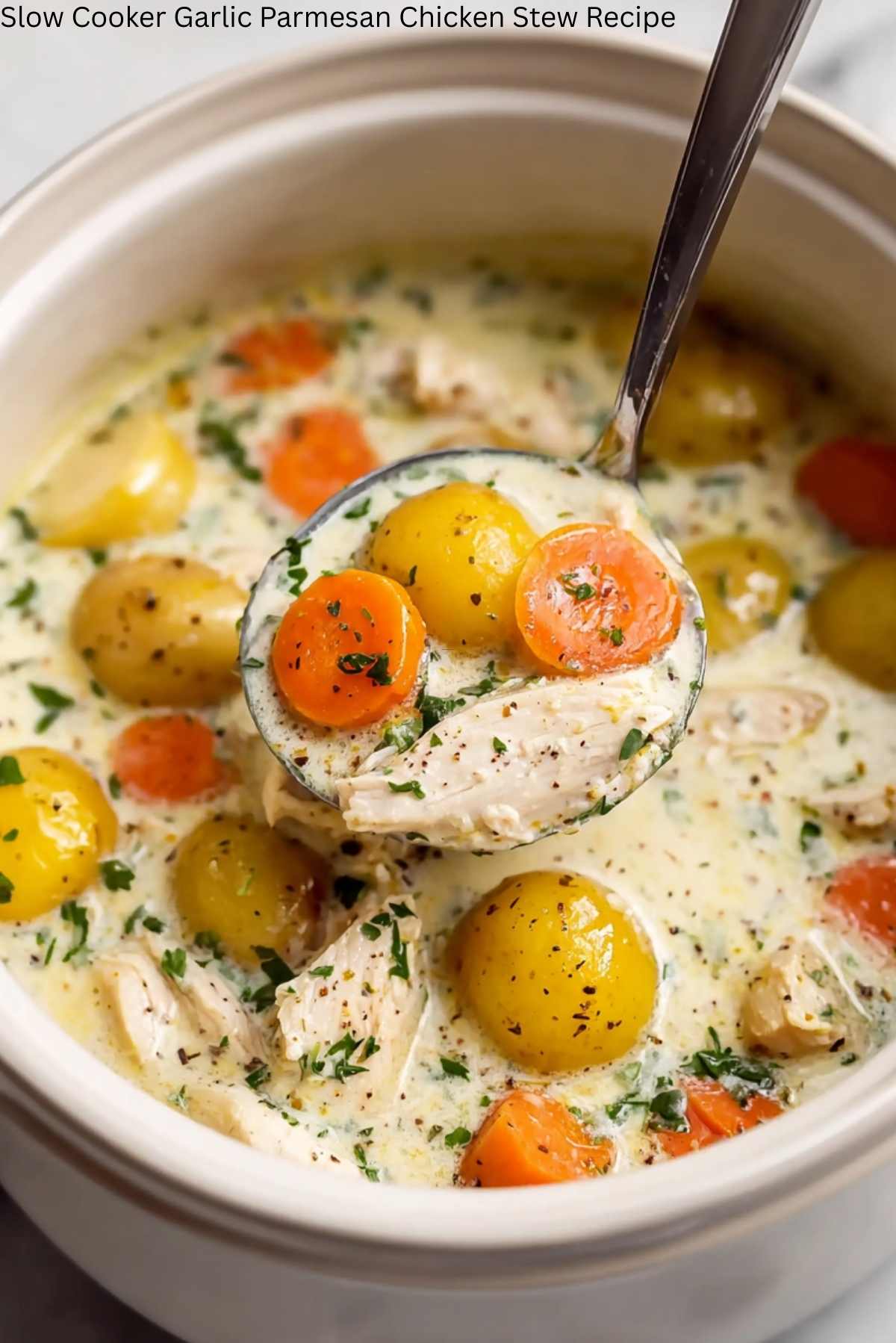 Slow Cooker Garlic Parmesan Chicken Stew Recipe