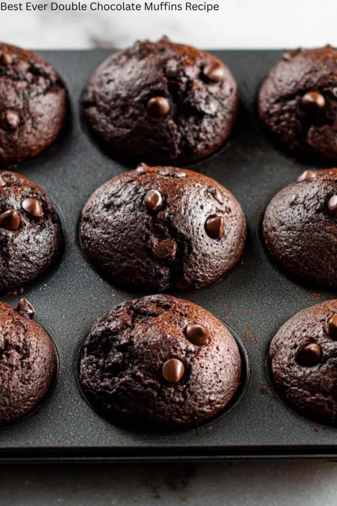 Best Ever Double Chocolate Muffins Recipe