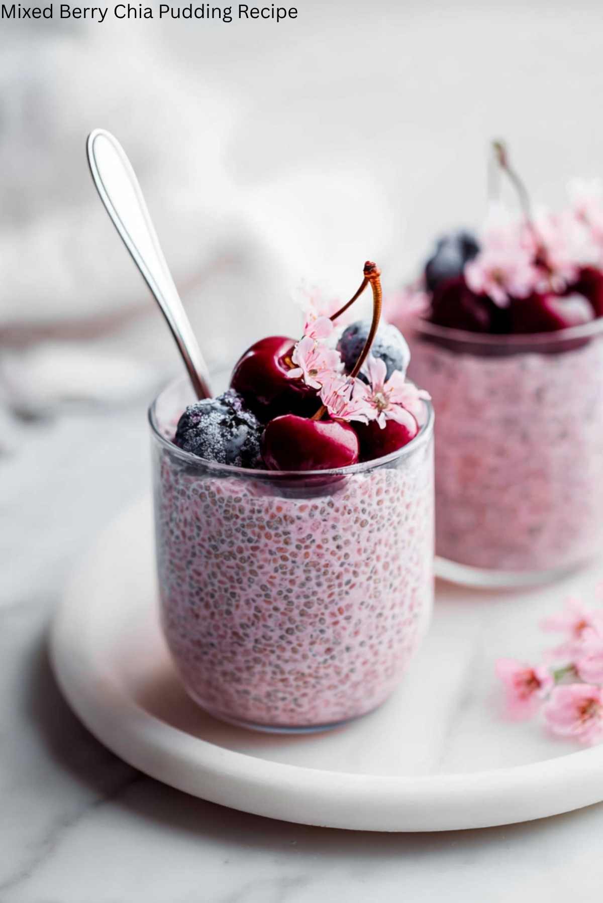 Mixed Berry Chia Pudding Recipe