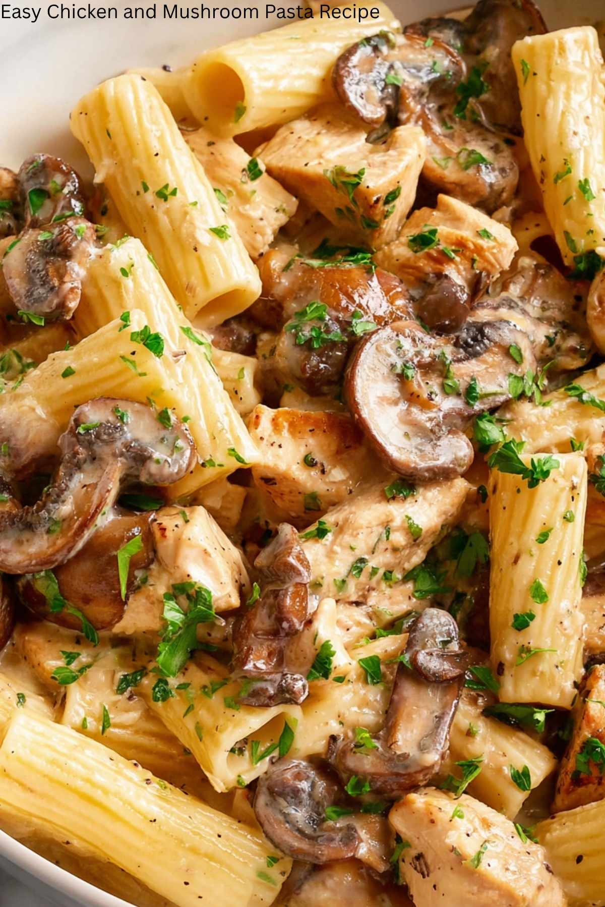 Easy Chicken and Mushroom Pasta Recipe