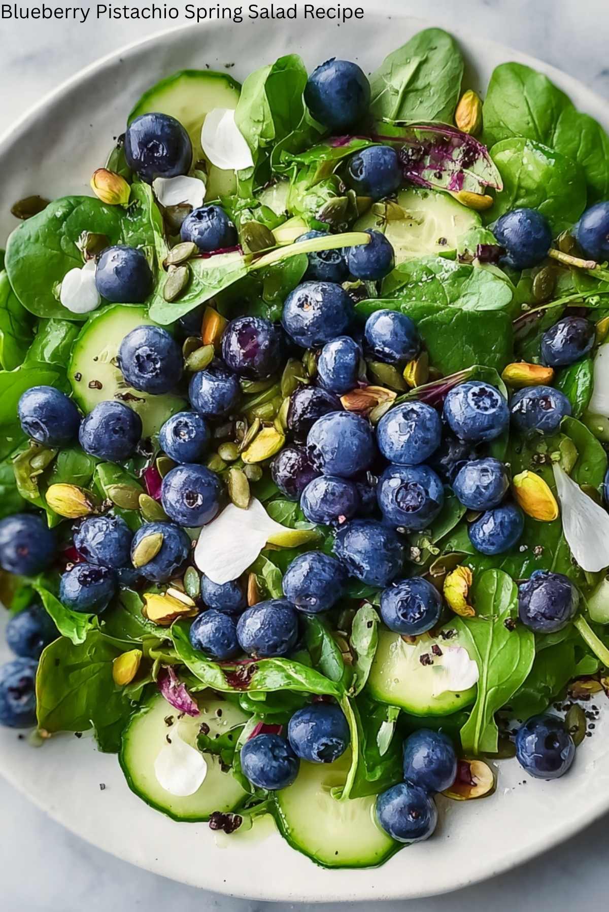 Blueberry Pistachio Spring Salad Recipe