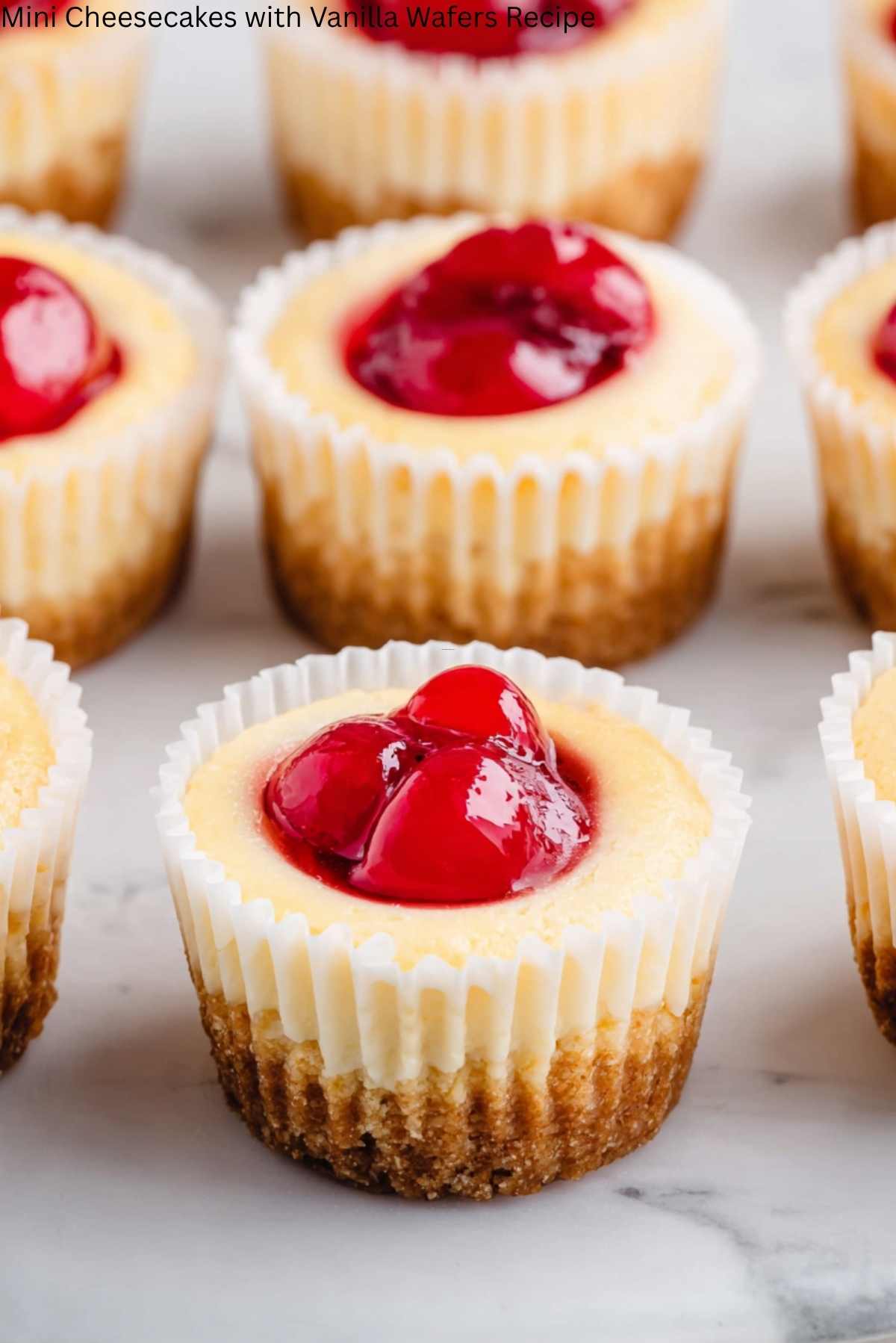 Mini Cheesecakes with Vanilla Wafers Recipe
