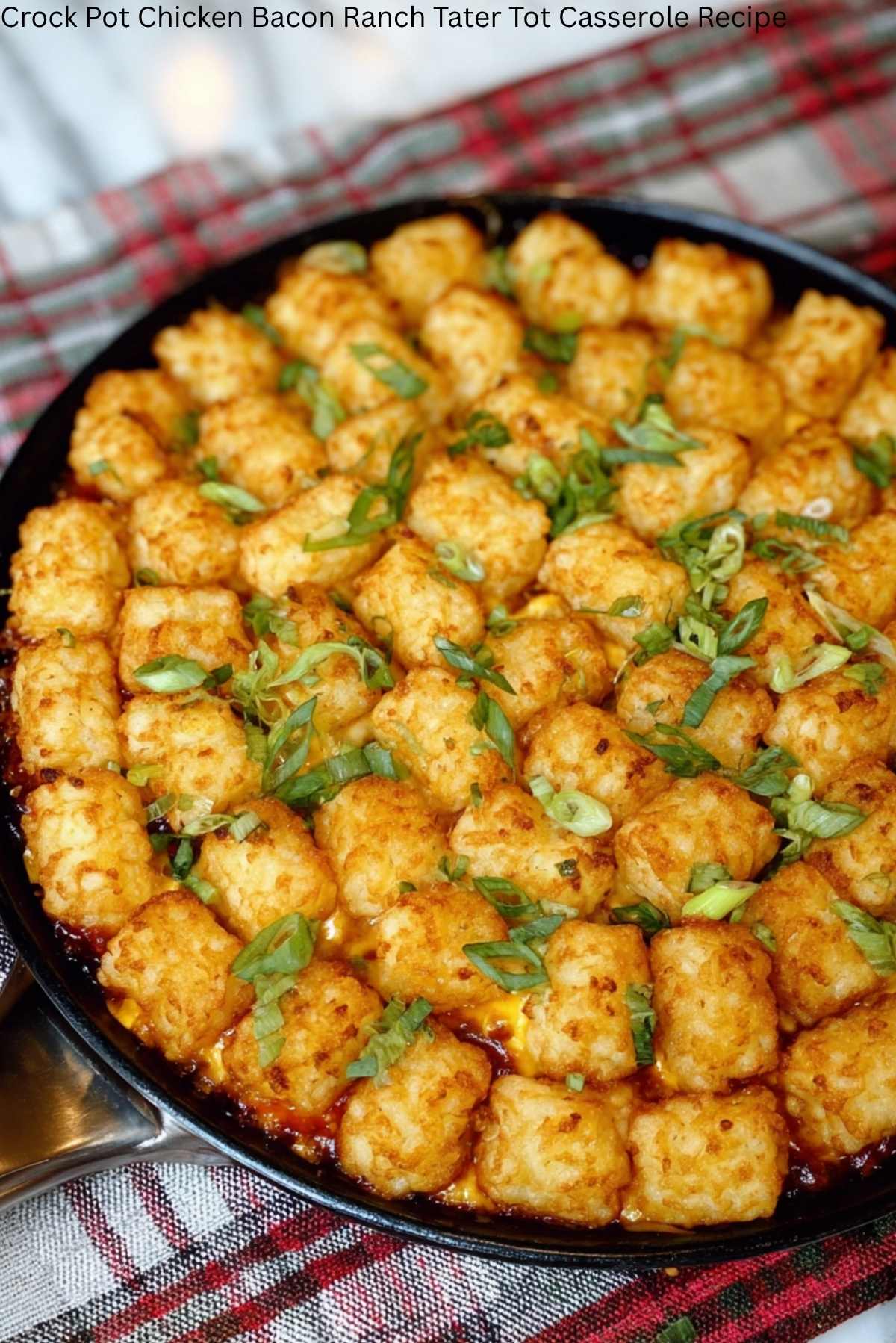 Crock Pot Chicken Bacon Ranch Tater Tot Casserole Recipe