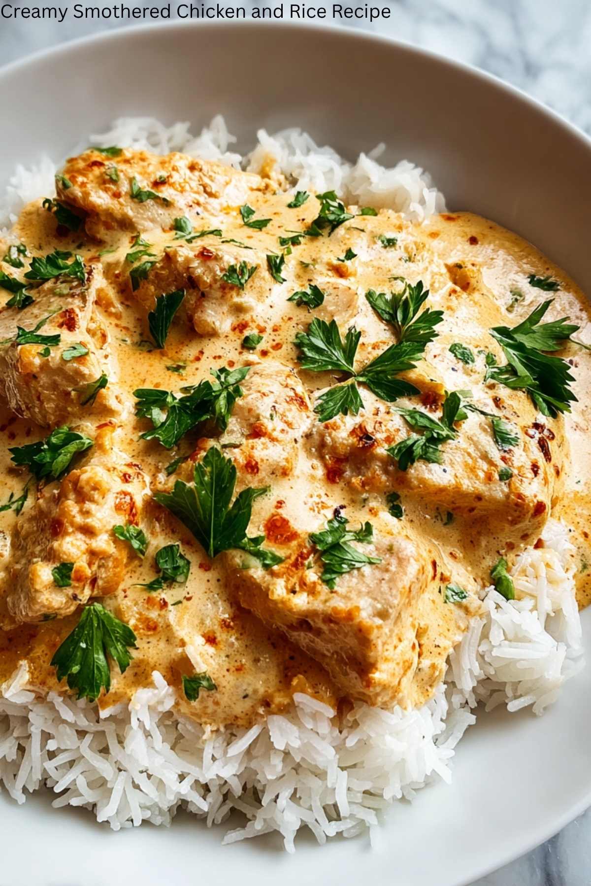 Creamy Smothered Chicken and Rice Recipe
