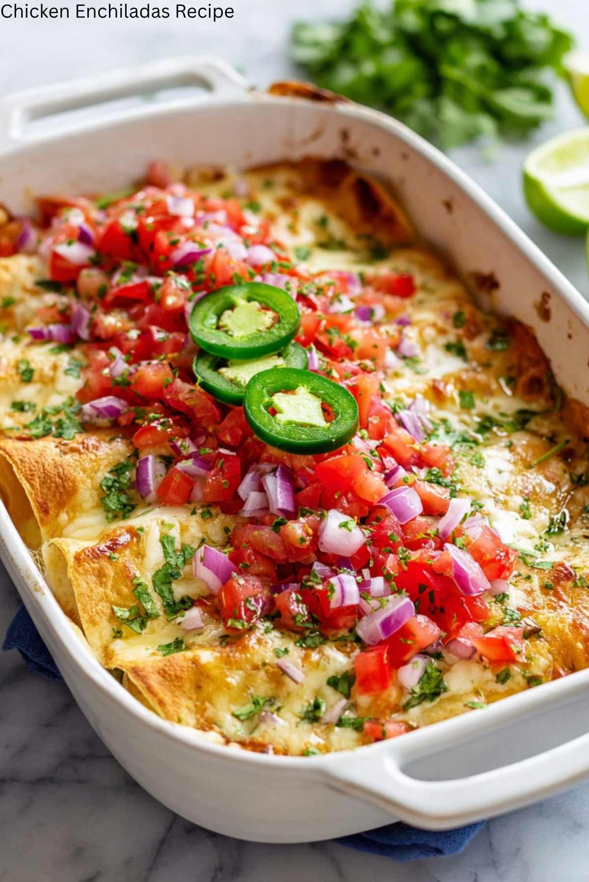 Chicken Enchiladas Recipe