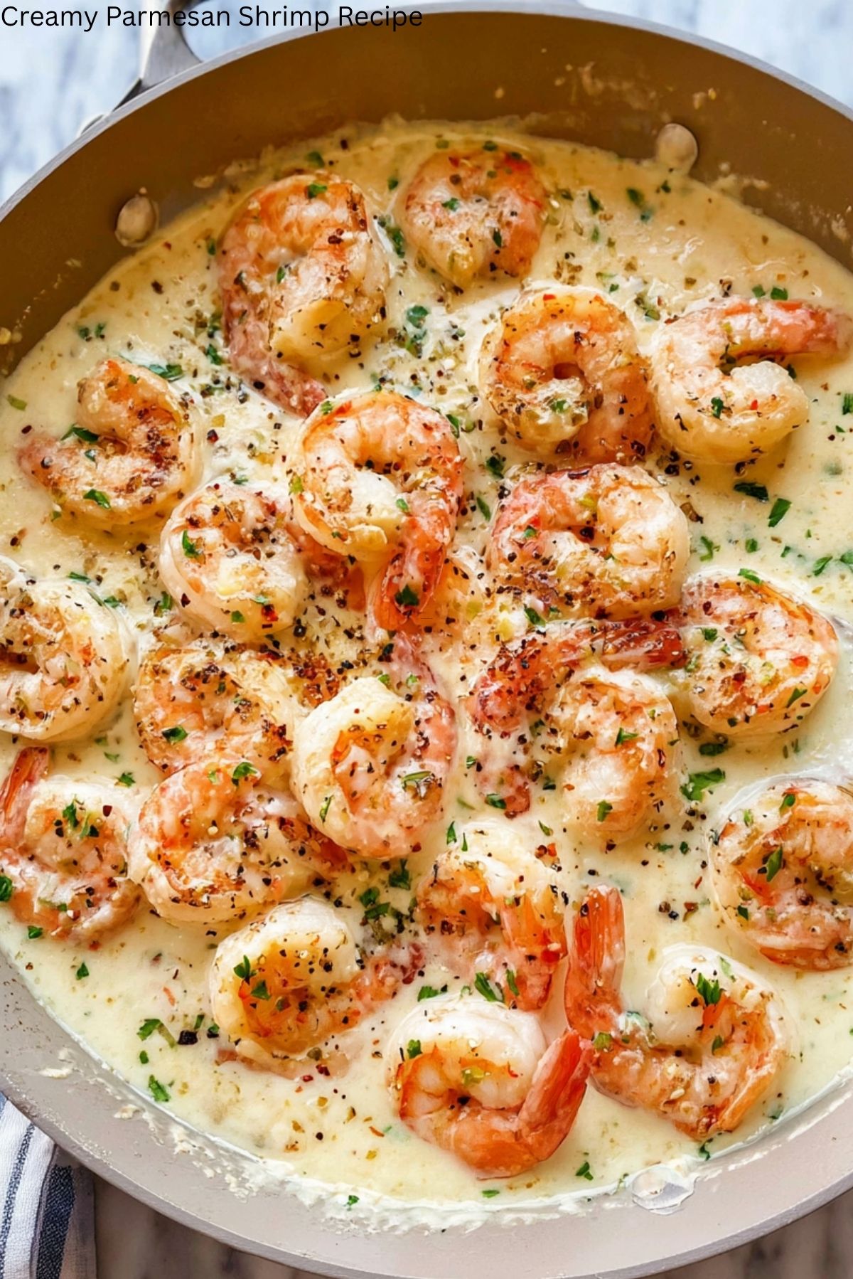 Creamy Parmesan Shrimp Recipe