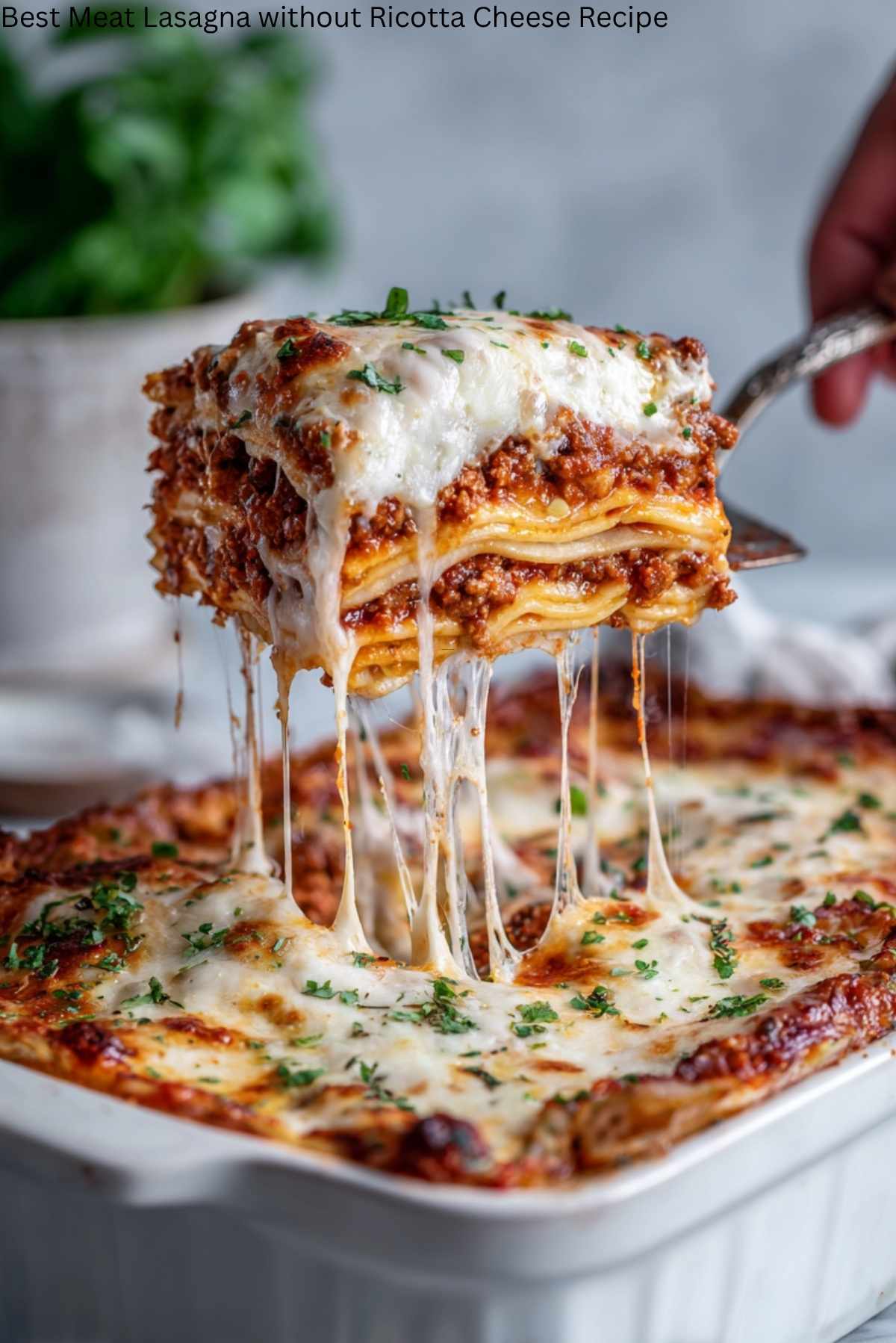 Best Meat Lasagna without Ricotta Cheese Recipe
