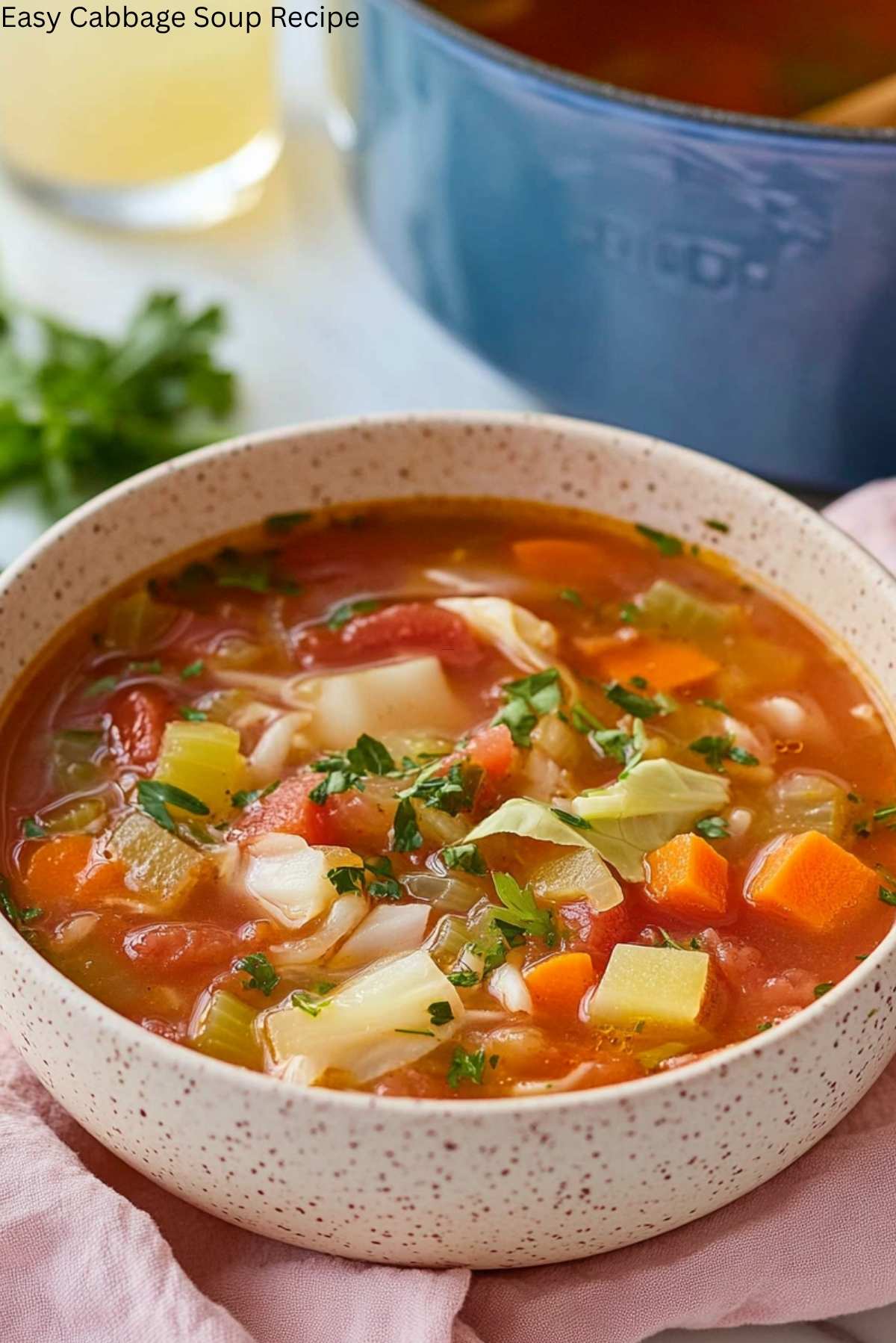 Easy Cabbage Soup Recipe