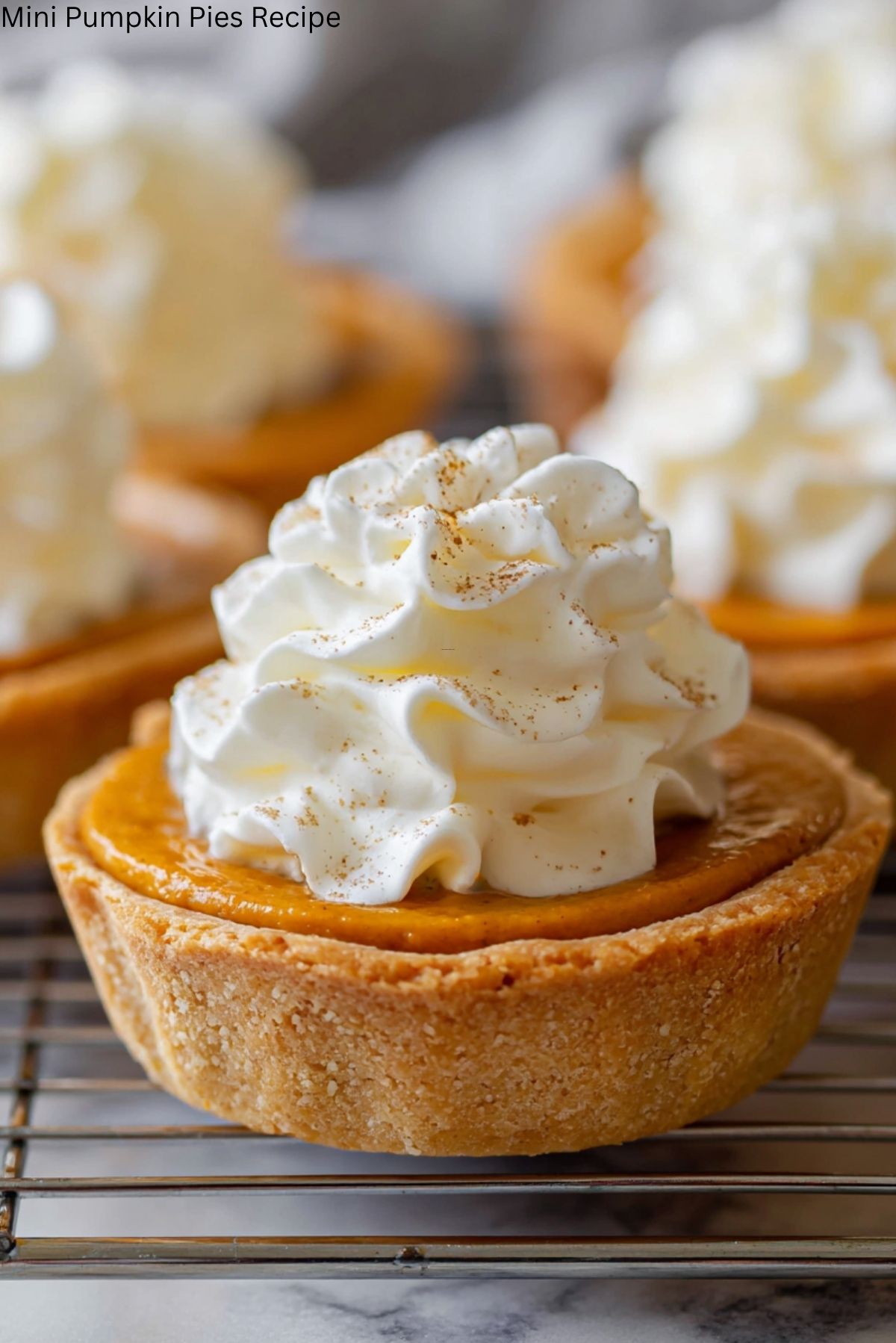 Mini Pumpkin Pies Recipe
